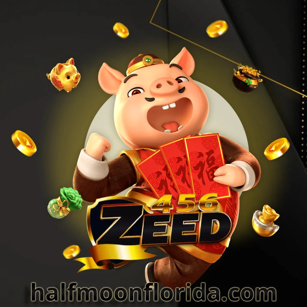 zeed456+wallet+เข้าสู่ระบบ